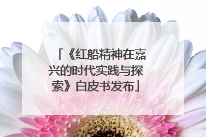 《红船精神在嘉兴的时代实践与探索》白皮书发布