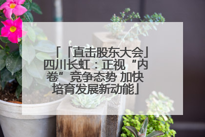 「直击股东大会」四川长虹：正视“内卷”竞争态势 加快培育发展新动能