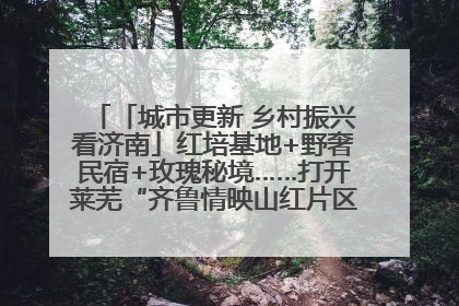 「城市更新 乡村振兴看济南」红培基地+野奢民宿+玫瑰秘境……打开莱芜“齐鲁情映山红片区”的破圈秘籍