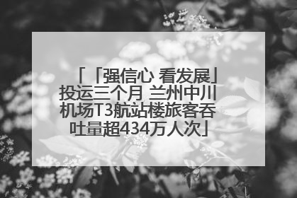 「强信心 看发展」投运三个月 兰州中川机场T3航站楼旅客吞吐量超434万人次