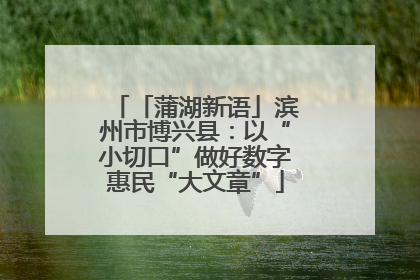 「蒲湖新语」滨州市博兴县：以“小切口”做好数字惠民“大文章”