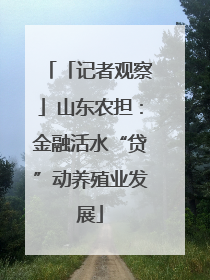 「记者观察」山东农担：金融活水“贷”动养殖业发展