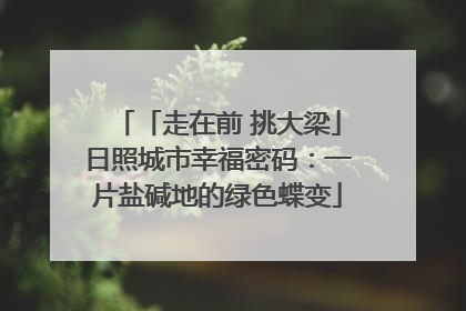 「走在前 挑大梁」日照城市幸福密码：一片盐碱地的绿色蝶变