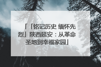 「铭记历史 缅怀先烈」陕西延安：从革命圣地到幸福家园