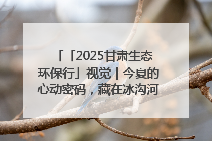 「2025甘肃生态环保行」视觉｜今夏的心动密码，藏在冰沟河的潋滟波光里