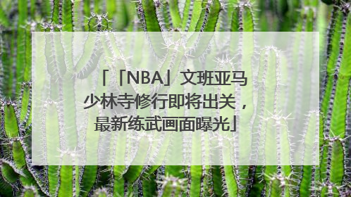 「NBA」文班亚马少林寺修行即将出关，最新练武画面曝光