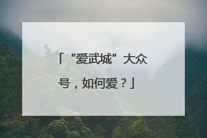 “爱武城”大众号，如何爱？