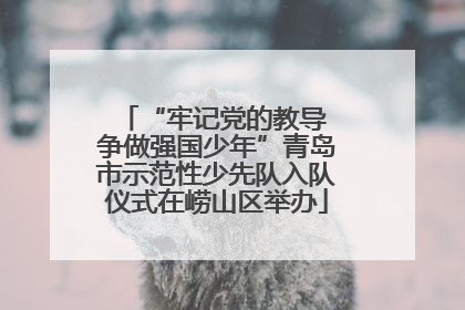 “牢记党的教导 争做强国少年”青岛市示范性少先队入队仪式在崂山区举办