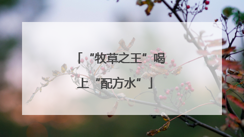“牧草之王”喝上“配方水”