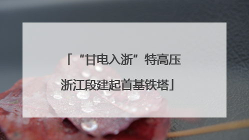 “甘电入浙”特高压浙江段建起首基铁塔