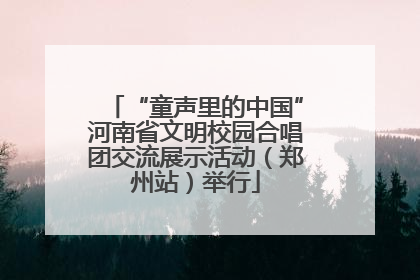 “童声里的中国”河南省文明校园合唱团交流展示活动（郑州站）举行