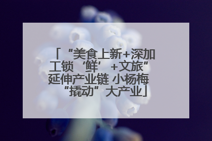 “美食上新+深加工锁‘鲜’+文旅”延伸产业链 小杨梅“撬动”大产业