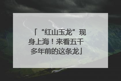 “红山玉龙”现身上海！来看五千多年前的这条龙