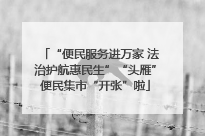 “便民服务进万家 法治护航惠民生”“头雁”便民集市“开张”啦