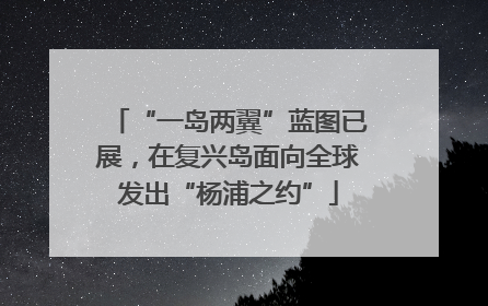 “一岛两翼”蓝图已展，在复兴岛面向全球发出“杨浦之约”