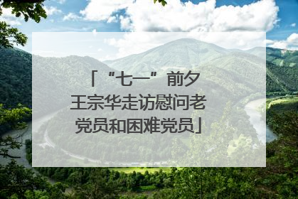 “七一”前夕 王宗华走访慰问老党员和困难党员