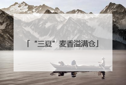 “三夏”麦香溢满仓