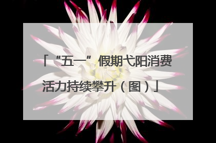 “五一”假期弋阳消费活力持续攀升（图）
