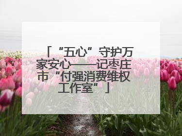 “五心”守护万家安心——记枣庄市“付强消费维权工作室”