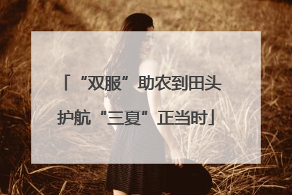 “双服”助农到田头 护航“三夏”正当时