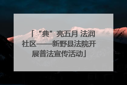 “典”亮五月 法润社区——新野县法院开展普法宣传活动