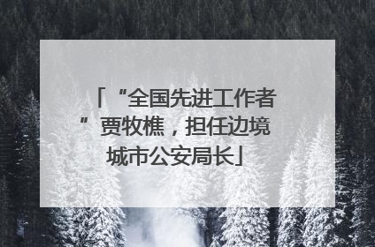 “全国先进工作者”贾牧樵，担任边境城市公安局长
