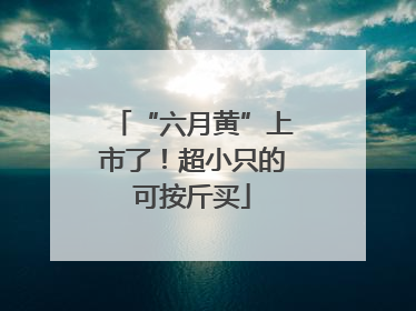“六月黄”上市了！超小只的可按斤买