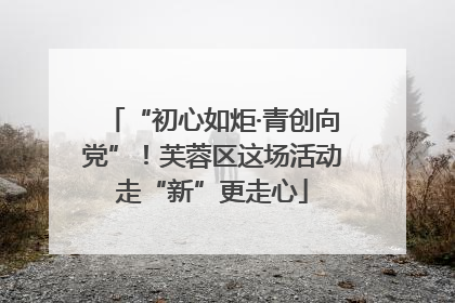 “初心如炬·青创向党”！芙蓉区这场活动走“新”更走心