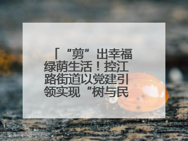 “剪”出幸福绿荫生活！控江路街道以党建引领实现“树与民”双向奔赴