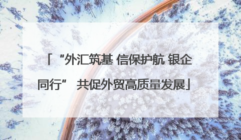 “外汇筑基 信保护航 银企同行” 共促外贸高质量发展