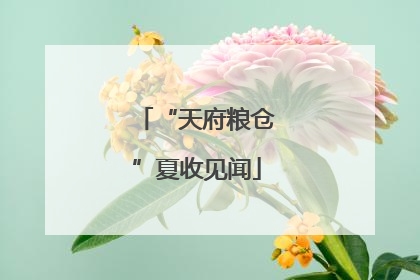“天府粮仓”夏收见闻