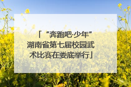 “奔跑吧·少年”湖南省第七届校园武术比赛在娄底举行