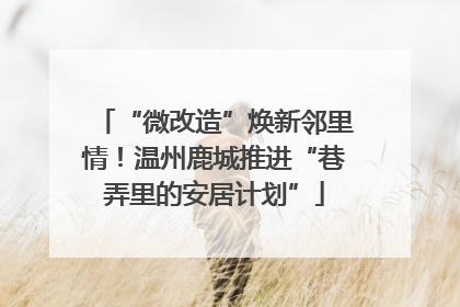 “微改造”焕新邻里情！温州鹿城推进“巷弄里的安居计划”