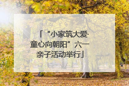 “小家筑大爱·童心向朝阳”六一亲子活动举行