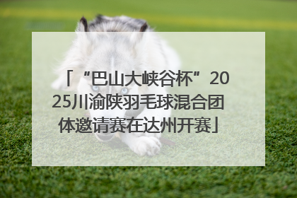 “巴山大峡谷杯”2025川渝陕羽毛球混合团体邀请赛在达州开赛