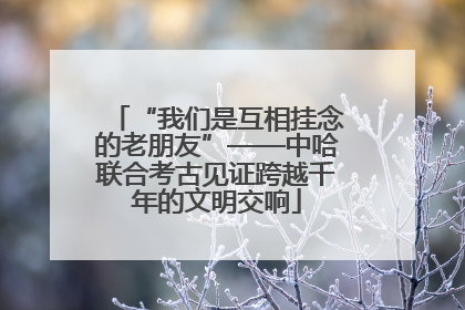“我们是互相挂念的老朋友”——中哈联合考古见证跨越千年的文明交响