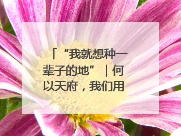 “我就想种一辈子的地”｜何以天府，我们用粮食作答②