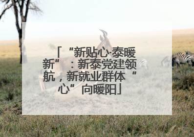 “新贴心·泰暖新”：新泰党建领航，新就业群体“心”向暖阳