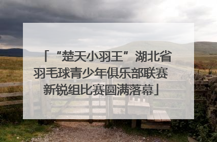 “楚天小羽王”湖北省羽毛球青少年俱乐部联赛新锐组比赛圆满落幕
