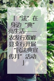 “法”在身边“典”亮生活——农发行双峰县支行开展“民法典宣传月”活动