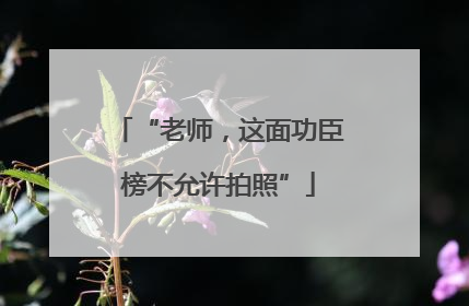 “老师，这面功臣榜不允许拍照”