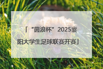 “茵浪杯”2025襄阳大学生足球联赛开赛