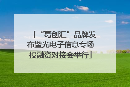 “葛创汇”品牌发布暨光电子信息专场投融资对接会举行