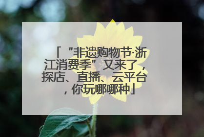 “非遗购物节·浙江消费季”又来了，探店、直播、云平台，你玩哪哪种