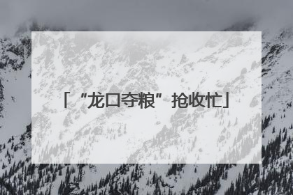 “龙口夺粮”抢收忙