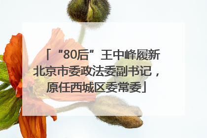 “80后”王中峰履新北京市委政法委副书记，原任西城区委常委
