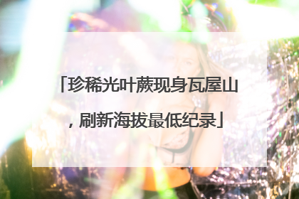 珍稀光叶蕨现身瓦屋山，刷新海拔最低纪录