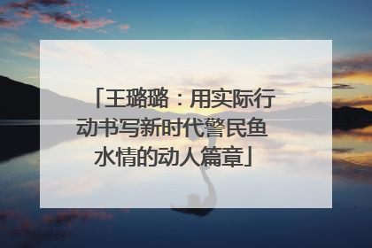 王璐璐：用实际行动书写新时代警民鱼水情的动人篇章