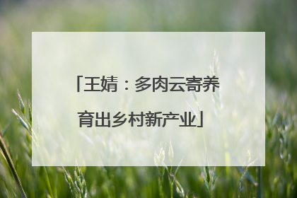 王婧：多肉云寄养 育出乡村新产业