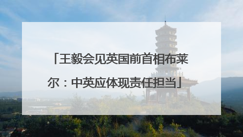 王毅会见英国前首相布莱尔：中英应体现责任担当